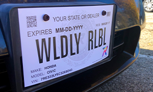 Printable Temporary License Plates